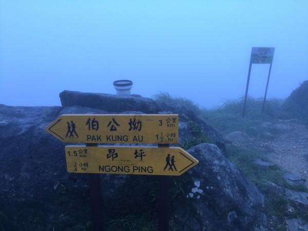 飞天吧小猪佩奇