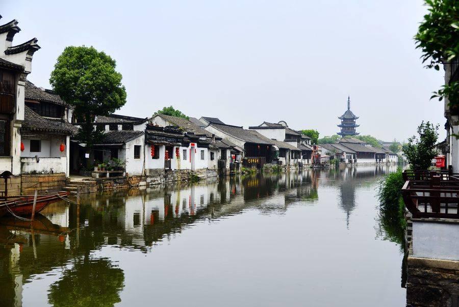 爱吃叶子的毛毛虫